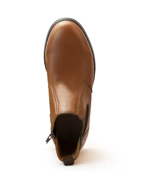 planta bota